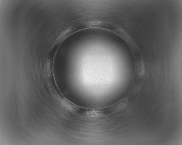 X0000082160378200701191248