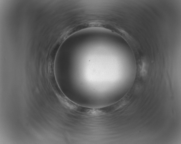 X0000082160379200701191248