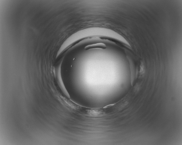 X0000082160380200701191248