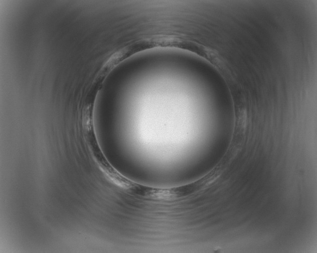 X0000082160383200701191248