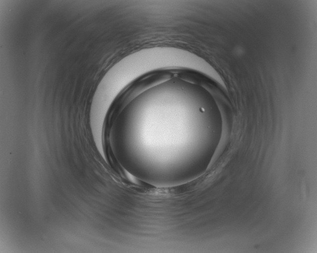 X0000082160384200701191248