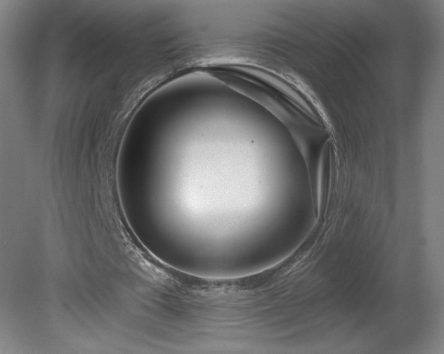 X0000082160385200701191247