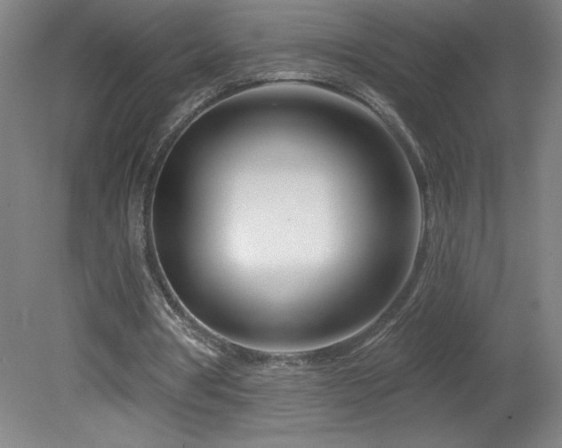 X0000082160386200701191247