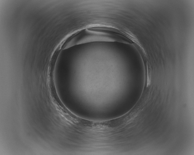 X0000082160387200701191247