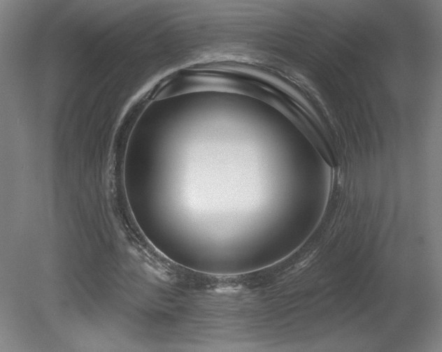 X0000082160388200701191247