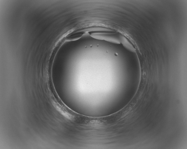 X0000082160390200701191247