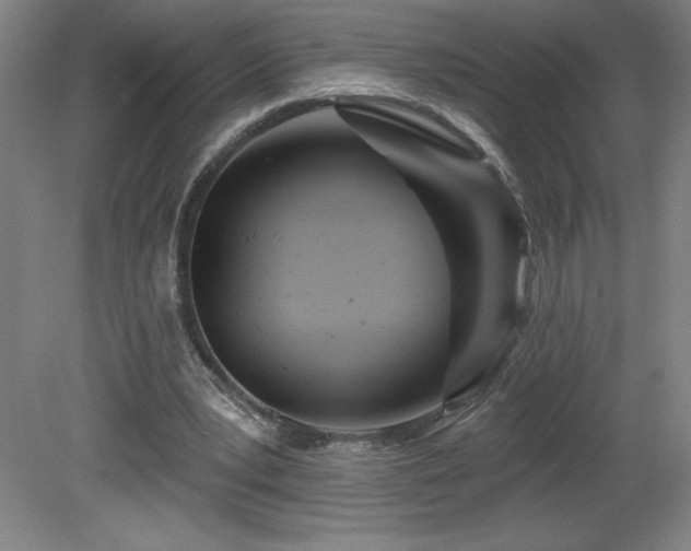 X0000082160391200701191247