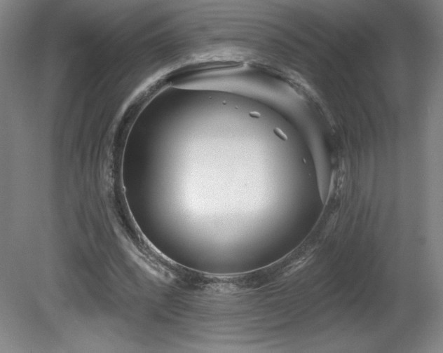 X0000082160392200701191247