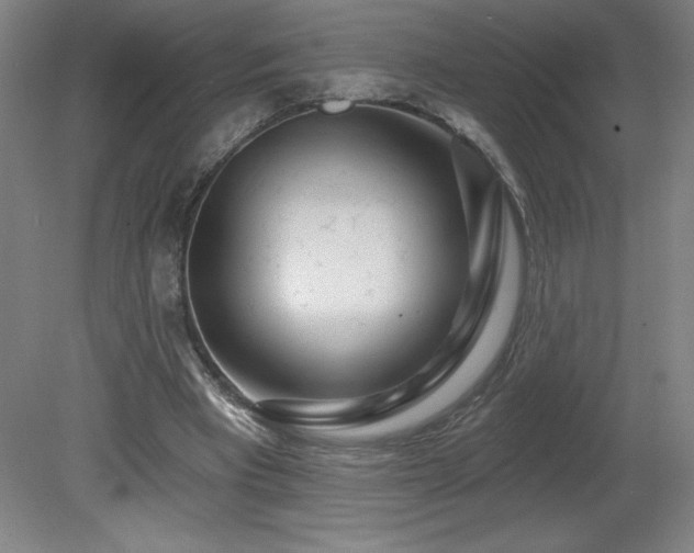 X0000082160393200701191247