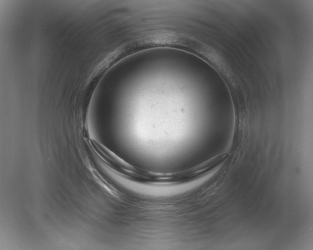 X0000082160397200701191247