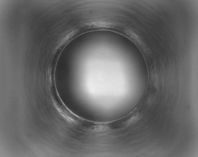 X0000082160398200701191247