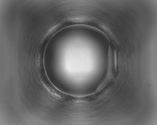 X0000082160400200701191247