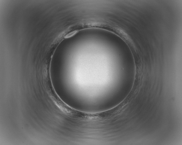 X0000082160401200701191247