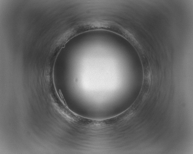 X0000082160402200701191247