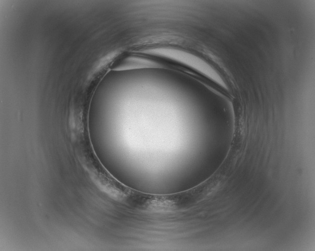 X0000082160403200701191247