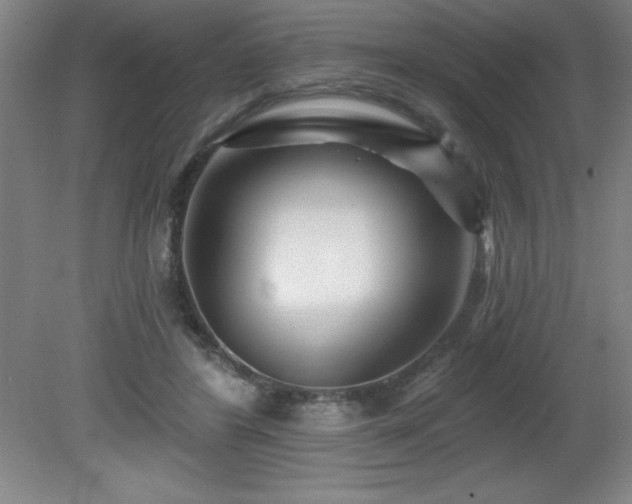 X0000082160404200701191247