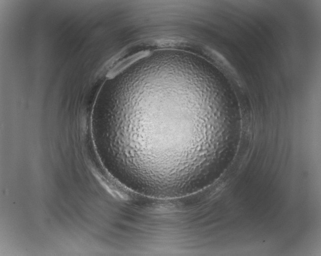 X0000082160405200701191247