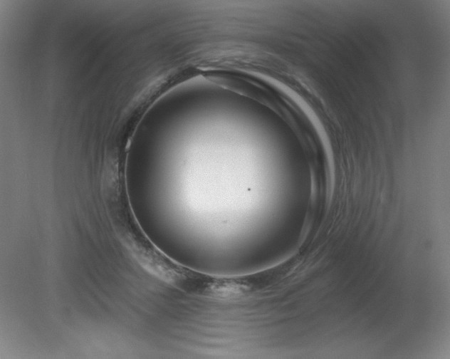 X0000082160407200701191247