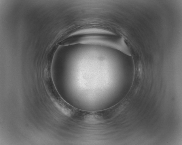 X0000082160408200701191247