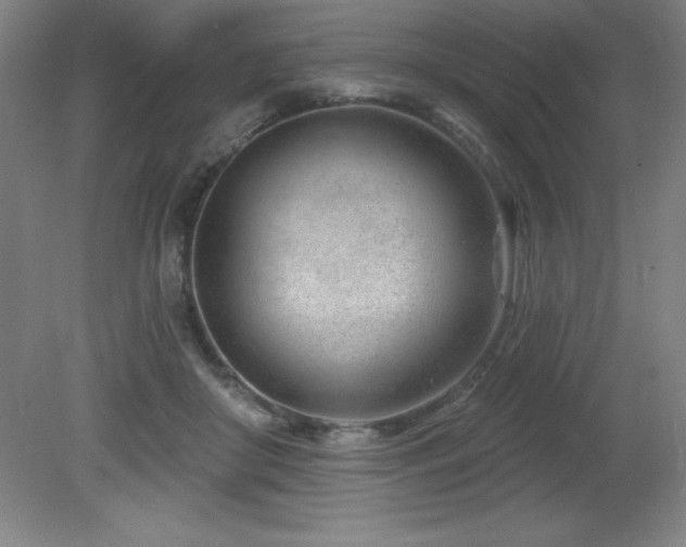 X0000082160410200701191247