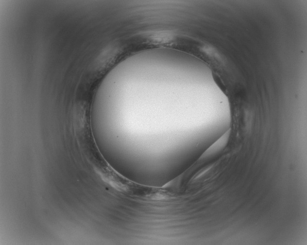 X0000082160412200701191247