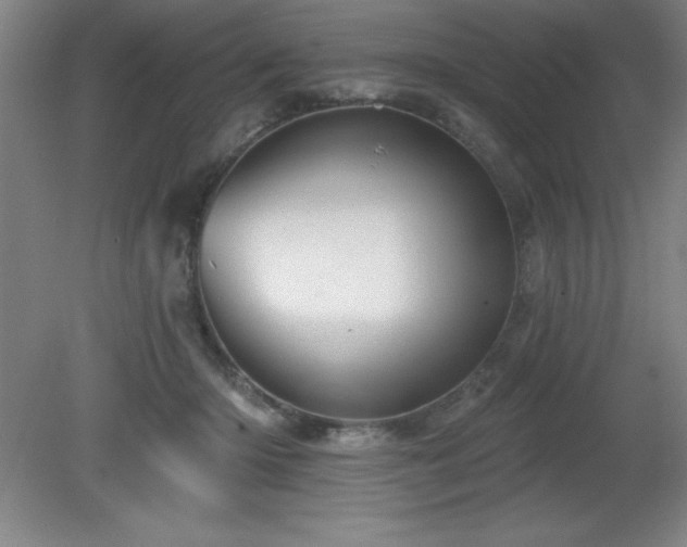 X0000082160414200701191247