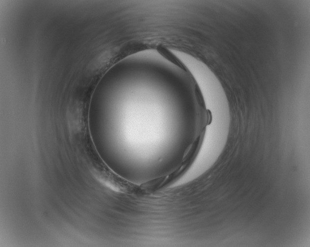 X0000082160416200701191247