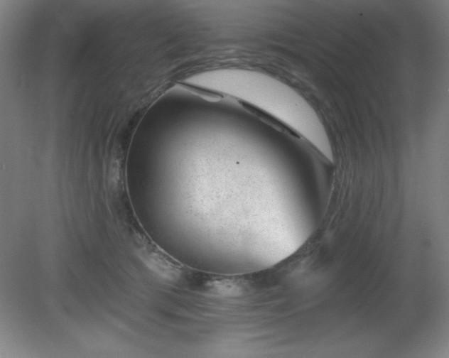 X0000082160417200701191247