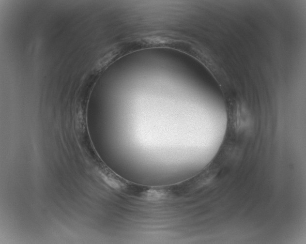 X0000082160418200701191246