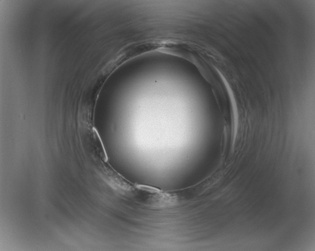 X0000082160421200701191246