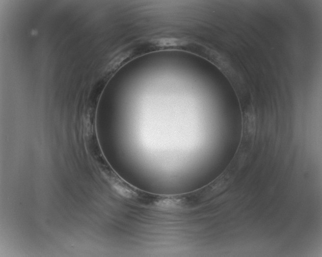 X0000082160422200701191246