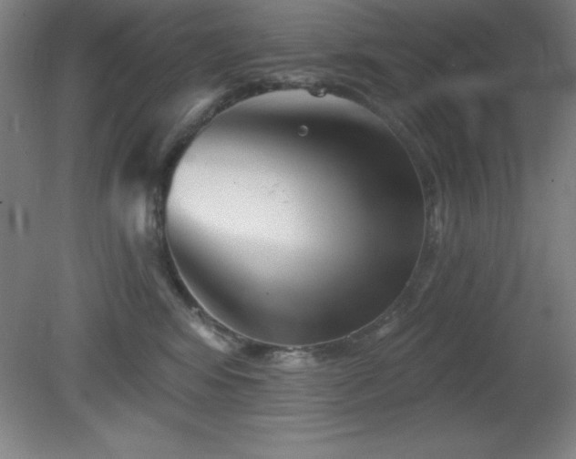 X0000082160424200701191246