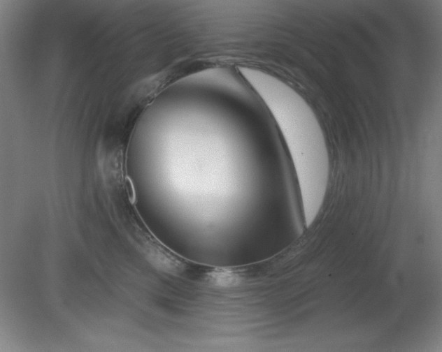 X0000082160425200701191246