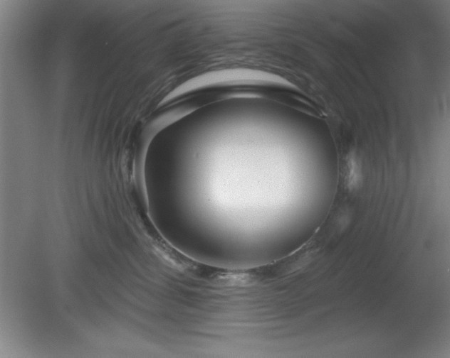 X0000082160428200701191246