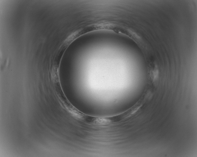 X0000082160429200701191246