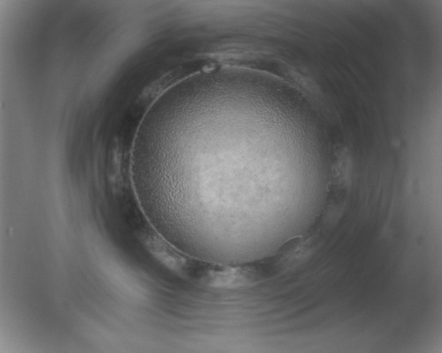 X0000082160430200701191246