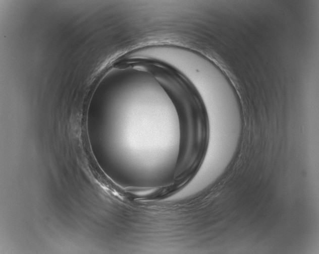 X0000082160434200701191245