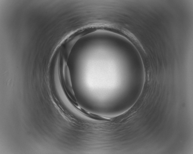 X0000082160436200701191245