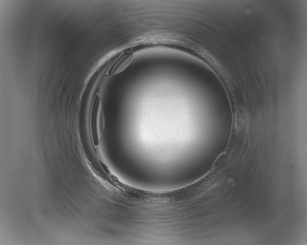 X0000082160438200701191246