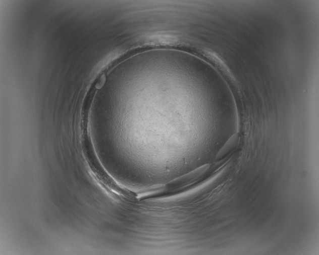 X0000082160439200701191246