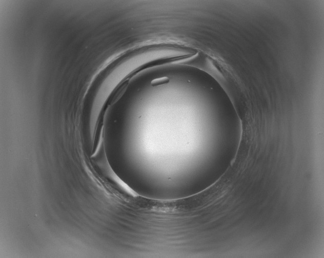 X0000082160440200701191246
