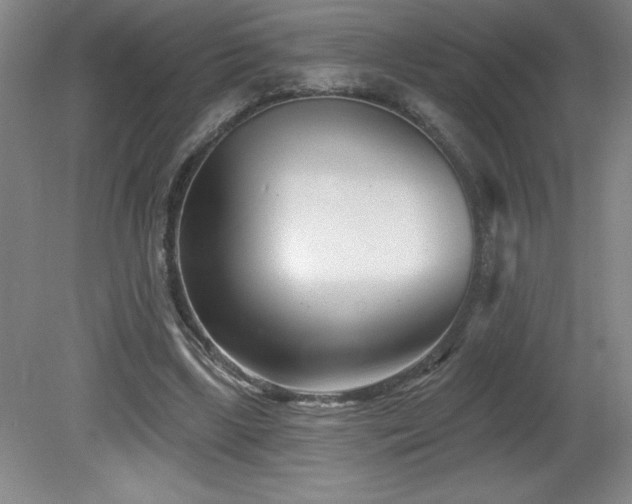 X0000082160443200701191246