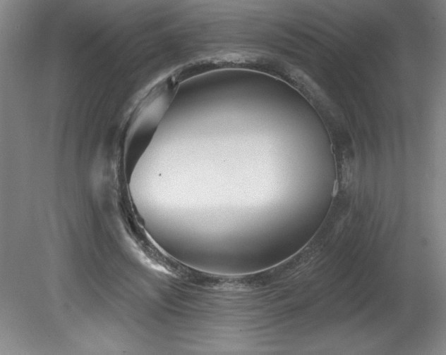 X0000082160444200701191246