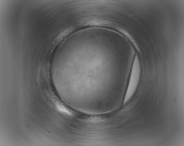 X0000082160445200701191246