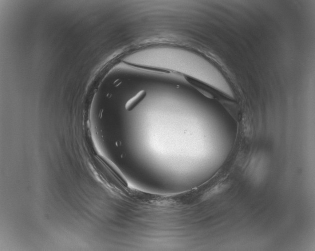 X0000082160446200701191246