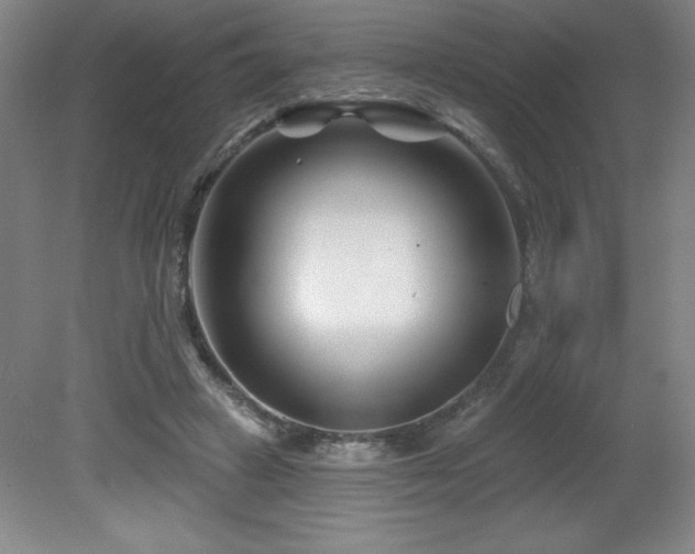 X0000082160449200701191246