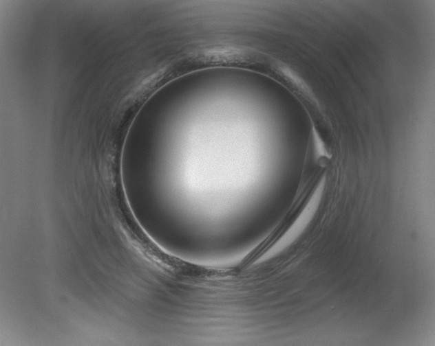 X0000082160450200701191246