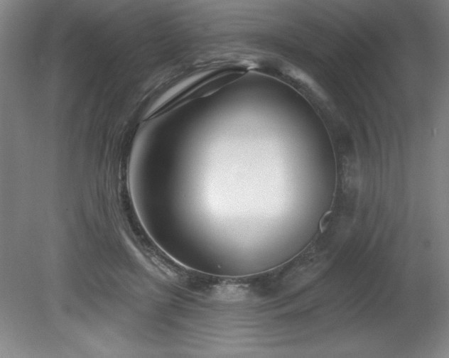 X0000082160451200701191246