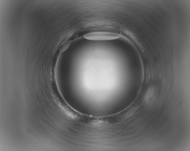 X0000082160453200701191246