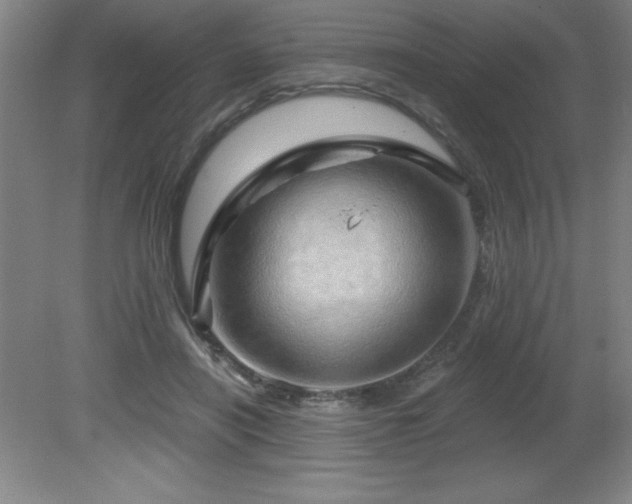 X0000082160454200701191246